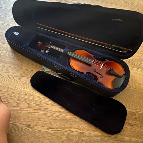 Geige violine - geige,