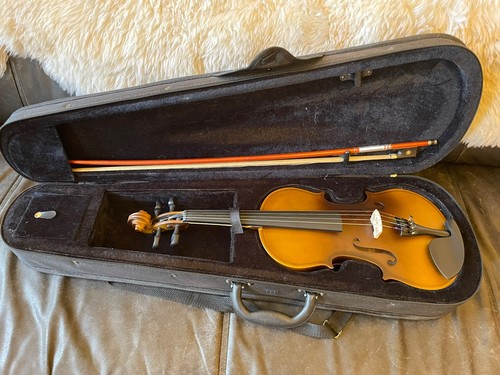 Geige violine mit - geige,