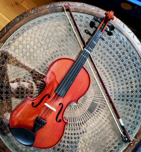 Stentor violine geige student - stentor,