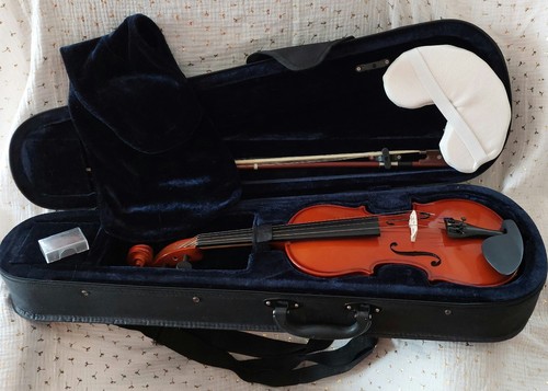 Geige violine kinder - kinder, koffer