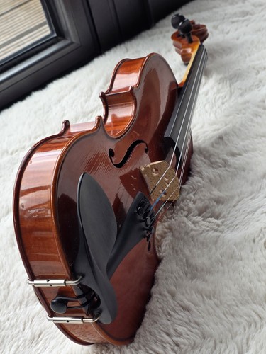 Violine geige original - geige,