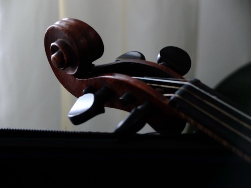 Geige violine mit bogen - violine,