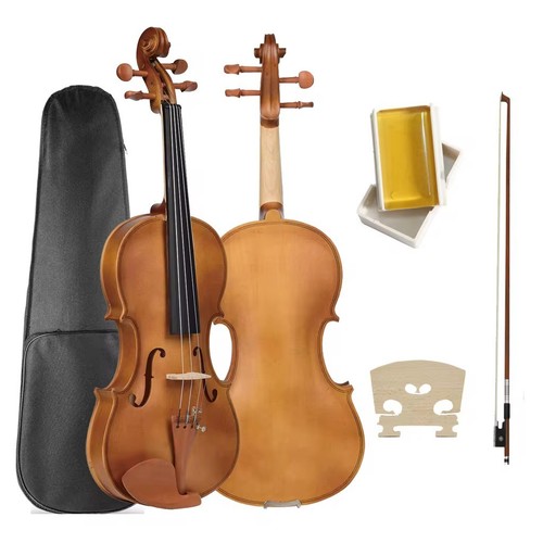 Violine geige mit koffer - violine,